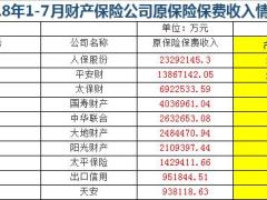 2018年前7月财产保险公司原保险保费收入排名表.xls