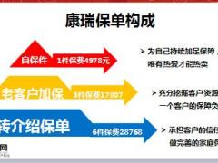 太平福禄康瑞产品销售经验分享14页.ppt
