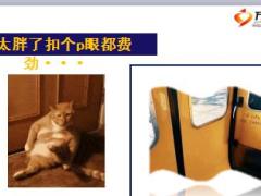 每日快乐早会18年9月11日使用12页.ppt