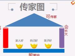 国寿盛世传家产品形态介绍23页.ppt