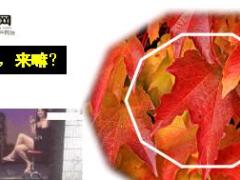 每日快乐早会18年9月12日使用12页.ppt