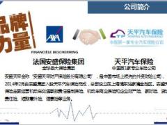 安盛天平代表世界服务中国特色服务品牌战略75页.ppt