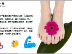 每日健康这条筋越软人越长寿每天一次筋软一寸寿长10年10页.ppt