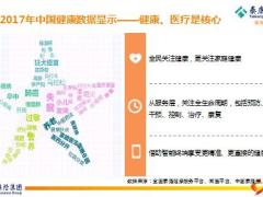 泰康康复医疗及大健康产业含备注32页.ppt
