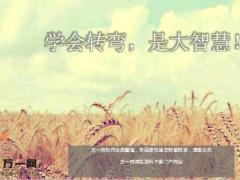每日鸡汤学会转弯是大智慧.rar