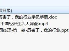 支公司经理轮训3厉害了我的行业及学员手册配套视频.rar