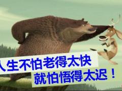 10月组织发展增员意愿启动片33页.ppt
