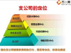 支公司经理轮训4支公司经理职责与定位36页.ppt