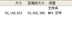 支公司经理轮训4支公司经理职责与定位配套视频保家卫国军团大战.rar