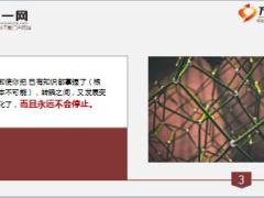每日鸡汤短短10条法则影响了无数人.rar