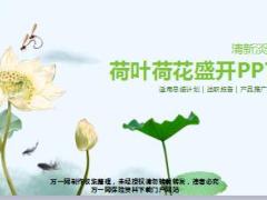 荷叶荷花盛开PPT模板25页.ppt