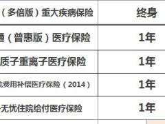 华夏福多倍版重大疾病保险自动计划书3页.xls