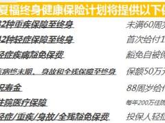 华夏福重大疾病保险自动计划书3页.xls