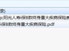 阳光人寿i保B款终身重大疾病保险条款费率.rar