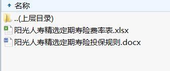 阳光人寿精选定期寿险费率表投保规则.rar