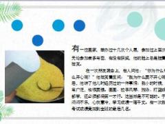 每日保险故事漏斗和玉米6页.ppt