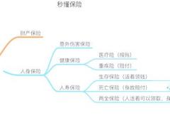 视频秒懂保险完全分类说明.rar