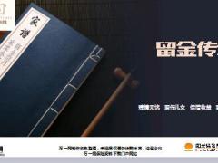 阳光人寿臻爱倍致终身寿险产品优势案例演示18页.ppt