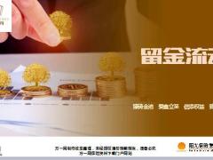 阳光人寿臻爱倍致链接人生中重要时刻11页.ppt
