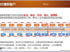 阳光人寿臻爱倍致快销逻辑话术讲解18页.ppt