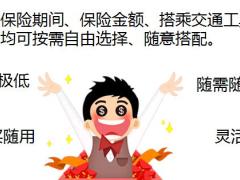 国寿e宝任行保购买与查询功能操作教程18页.ppt