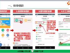 国寿e宝借还款新功能操作介绍12页.ppt