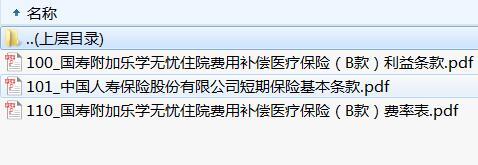国寿附加乐学无忧住院费用补偿医疗保险B款条款费率.rar