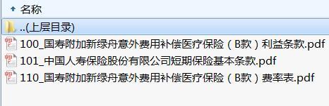 国寿附加新绿舟意外费用补偿医疗保险B款条款费率.rar