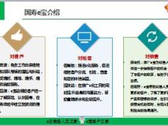 国寿e宝平台介绍15页.ppt