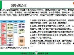 国寿e店e宝平台介绍22页.ppt