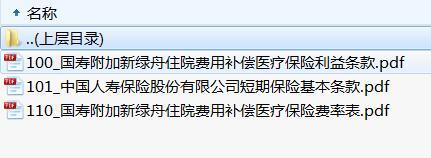 国寿附加新绿舟住院费用补偿医疗保险条款费率.rar