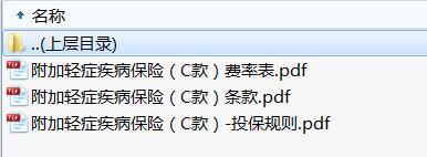 恒安标准附加轻症疾病保险C款条款费率投保规则.rar
