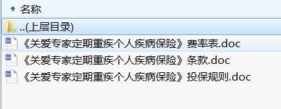 人保健康关爱专家定期重疾个人疾病保险条款费率投保规则.rar