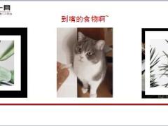 每日快乐早会18年10月8日使用12页.ppt