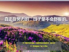 每日鸡汤真正在努力的日子是不会舒服的.rar