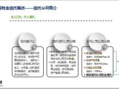 保险金信托概述案例与实操流程38页.ppt