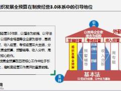 组织发展全预算执行落地要点45页.ppt