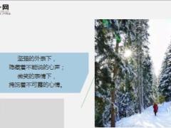 每日鸡汤自己的路自己走自己的心自己懂.rar
