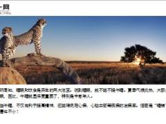 每日健康八成的人都存在午睡误区20页.ppt