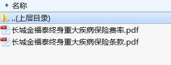 长城金福泰终身重大疾病保险条款费率.rar