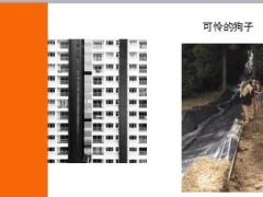 每日快乐早会18年10月11日使用12页.ppt