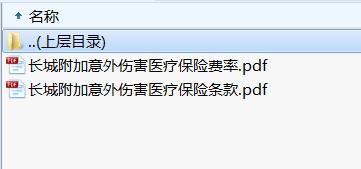 长城附加意外伤害医疗保险条款费率.rar