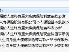 国寿福佑人生终身重大疾病保险条款费率现金价值标保系数业管实务.rar