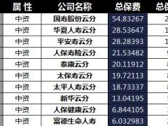 云南省2018年前6月寿险公司总保费排行榜.xls