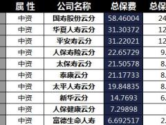 云南省2018年前7月寿险公司总保费排行榜.xls