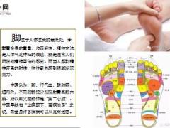 每日健康低头摸脚百病治好很多病在脚上都有开关6页.ppt