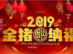 2019金猪纳福开门红PPT模板25页.ppt