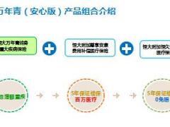 恒大人寿万年青安心版产品组合介绍案例展示组合规则29页.ppt