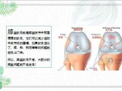 每日健康膝盖不痛做到这3点膝盖至少年轻10岁12页.ppt