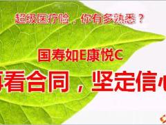 国寿如E康悦C家庭保单销售逻辑67页.ppt
